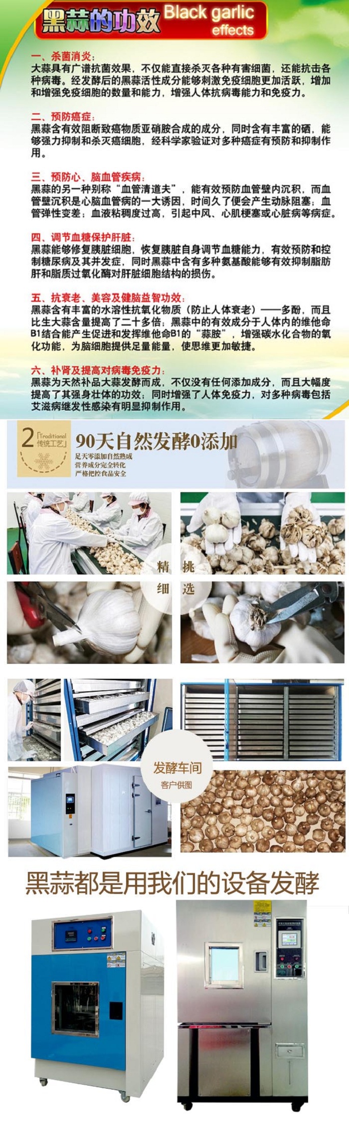 大型黑蒜發(fā)酵機